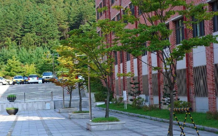 国立韩巴大学